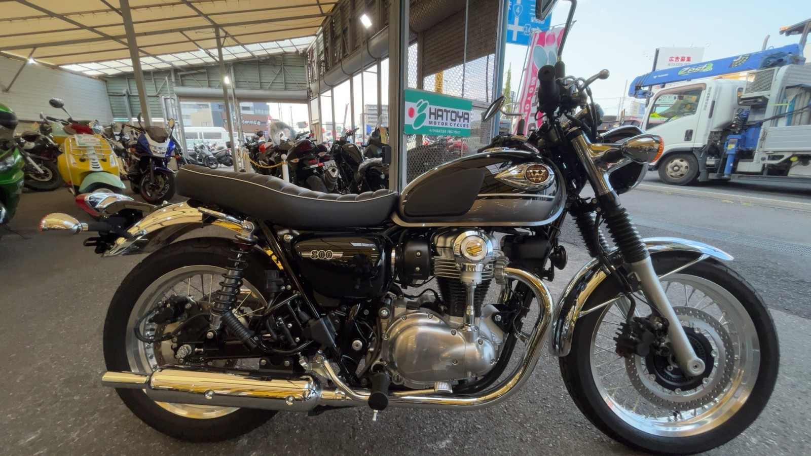 中古 KAWASAKI カワサキ W800 2024 【360°VIEW!】 はとや(HATOYA